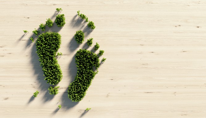 5 Simple Ways To Reduce Carbon Footprint