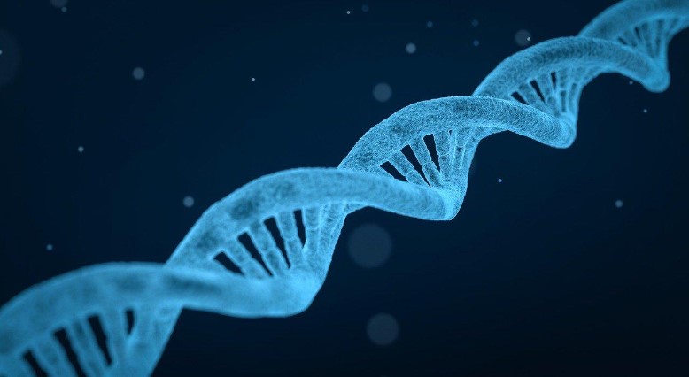 DNA Home Test Kits