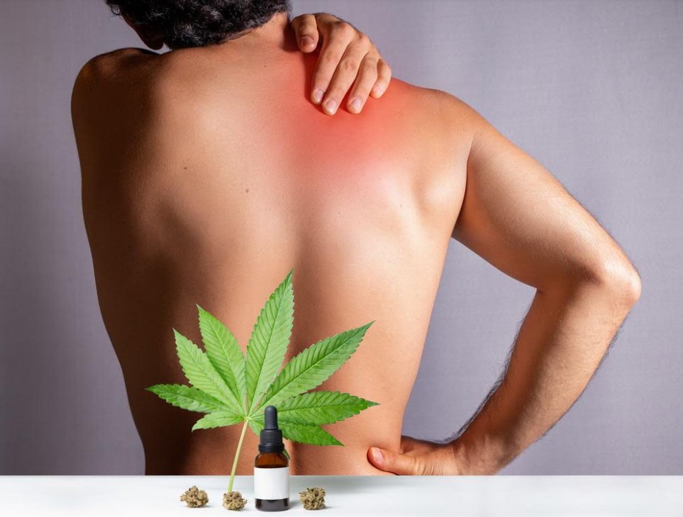 Should Cannabis Be Considered as an Acute Pain Treatment?